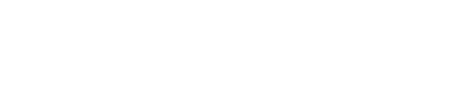 VerticaX